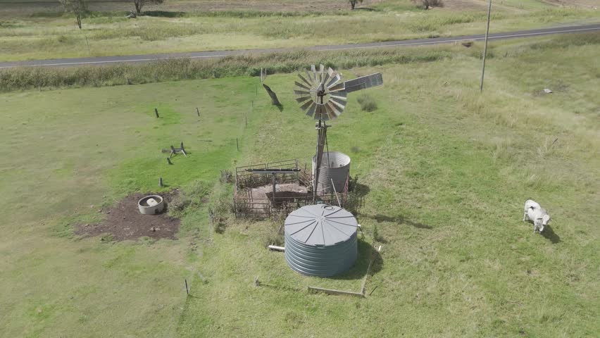 Cattle roam near windmill and water storage tank