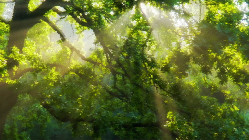 Watercolor style forest background 04 loop