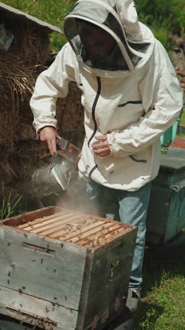Farm, bees and beekeeper with hive for honey harvest for propolis, honeycomb and pollen production