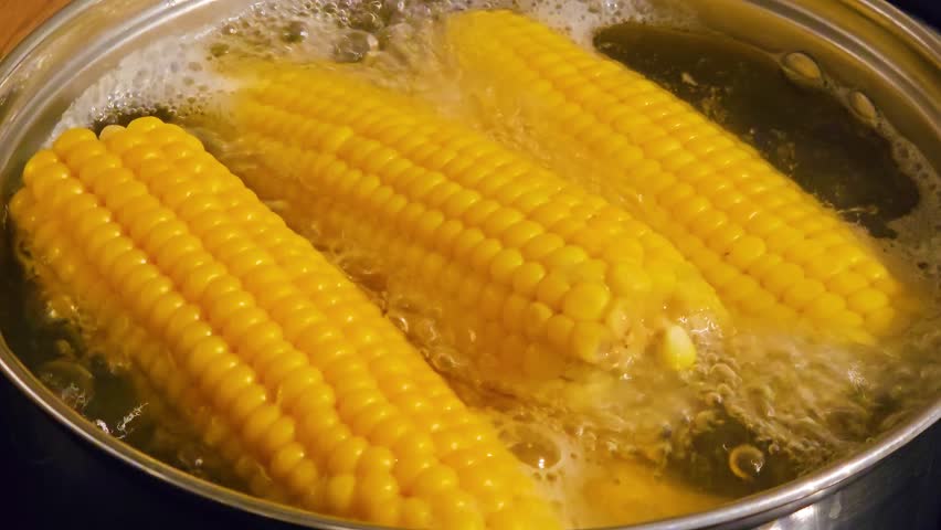 Boiling corn in pot with bubbling water during cooking process. Simmering sweet yellow corn in hot liquid for healthy preparation. Cooking fresh corn in stainless pot on stove, showcasing vibrant
