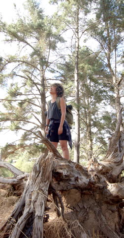 Vertical video: Hiking in forest, woman standing on tree trunk with arms outstretched. Outdoors, adventure, nature, balance, exploring, freedom, slow motion