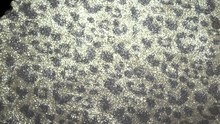 Leopard, Jaguar shiny effect fabric page curl 