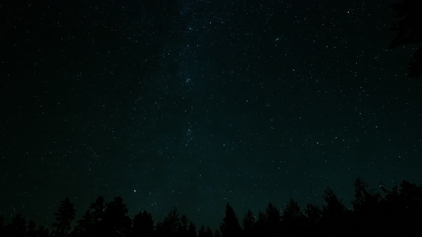 Long exposure captures swirling star trails above a dense forest, showcasing the beauty of the night sky. The silhouettes of trees frame the celestial display.