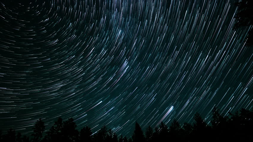 Long exposure captures swirling star trails above a dense forest, showcasing the beauty of the night sky. The silhouettes of trees frame the celestial display.
