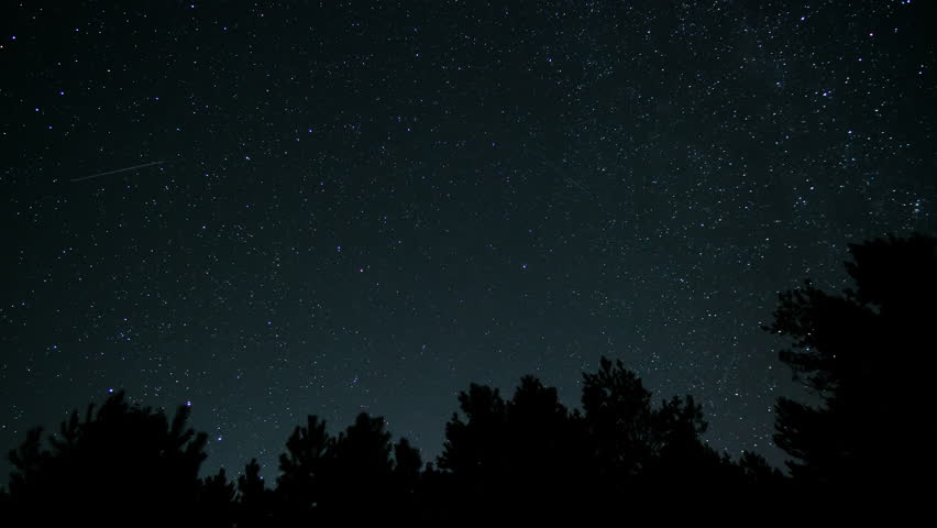 Star trails create mesmerizing patterns in the night sky above a dark forest. The long exposure captures the motion of celestial bodies over time. Stars move around a polar star. 4K