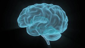 Rotating 3D holographic human brain animation with a glowing effect. Medical and scientific visualization on a black background. Looping animation with luma matte. - Powered by Shutterstock - Get 15% off with code: PIKWIZARD15