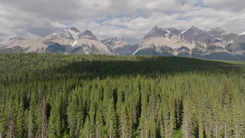Drone panning right revealing tall, snowy mountains and a vast pine forest wilderness near Banff and Yoho National Park in Canada under a partially cloudy sky