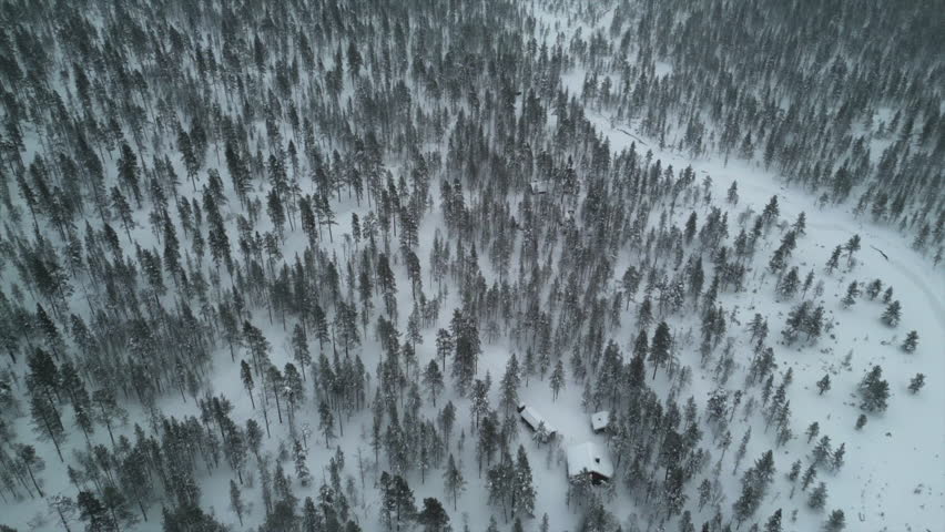 The drone soars in a straight path, capturing a stunning oblique view of the forest. The contrast between the white snow and dark trees creates a mesmerizing scene in December's Lapland, Finland