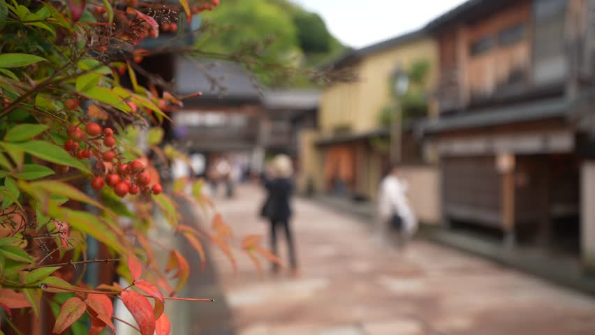 Autumn leaves and traditional dark wood buildings in street in the Higashi Chaya District, Kanazawa City, Ishikawa Prefecture, Honshu, Japan