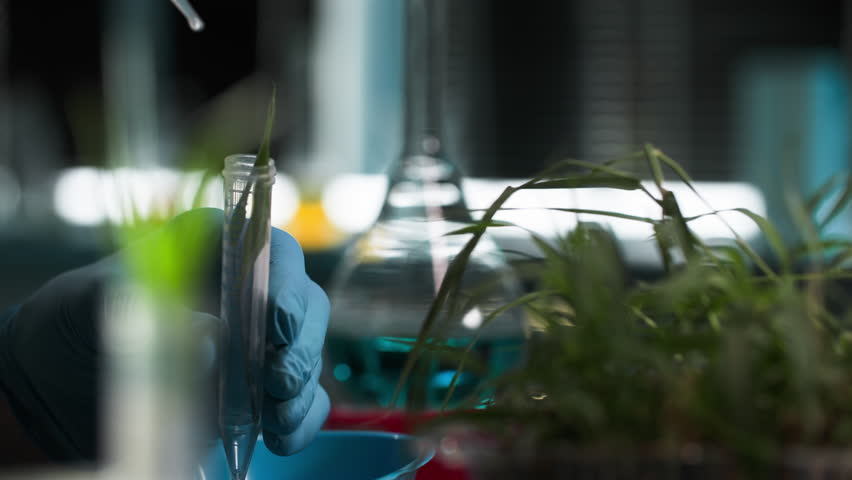 professional male lab technician in protective gloves holding test tube with plant and dripping chemical substance for laboratory test