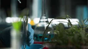 professional male lab technician in protective gloves holding test tube with plant and dripping chemical substance for laboratory test - Powered by Shutterstock - Get 15% off with code: PIKWIZARD15