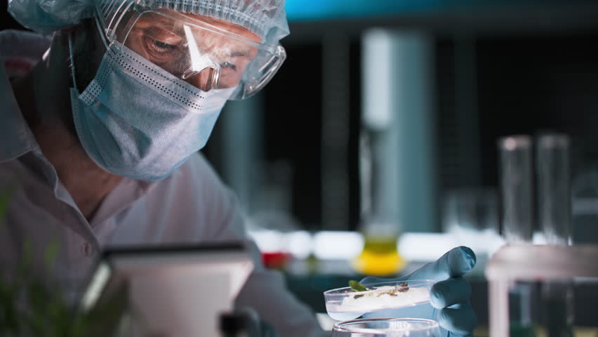 chemical analysis of agricultural crops, professional male laboratory technician in protective clothing conducts soil tests and drops chemical composition from a pipette onto a plant in a modern