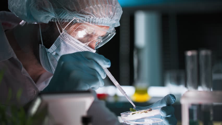 chemical analysis of agricultural crops, professional male laboratory technician in protective clothing conducts soil tests and drops chemical composition from a pipette onto a plant in a modern - Powered by Shutterstock - Get 15% off with code: PIKWIZARD15