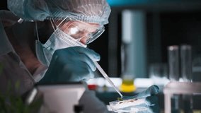 chemical analysis of agricultural crops, professional male laboratory technician in protective clothing conducts soil tests and drops chemical composition from a pipette onto a plant in a modern - Powered by Shutterstock - Get 15% off with code: PIKWIZARD15