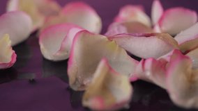 Falling rose petals splash onto the water in slow motion, scattering droplets. A soothing, spa-like scene in soft pink and purple tones. - Powered by Shutterstock - Get 15% off with code: PIKWIZARD15