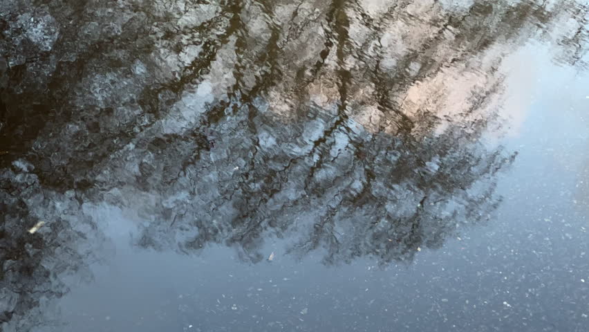 Strong ripples ripple across puddle on grey tarmac, reflecting silhouette of a bare tree, disturbed by strong winds.