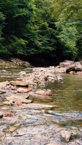 Vertical, water flow at Japanese zen stone river below green forest valley landscape