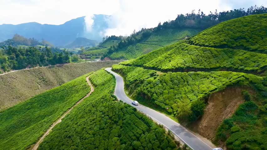 Road going through greenery, Car passing through the green forest in Munnar (Aerial View).