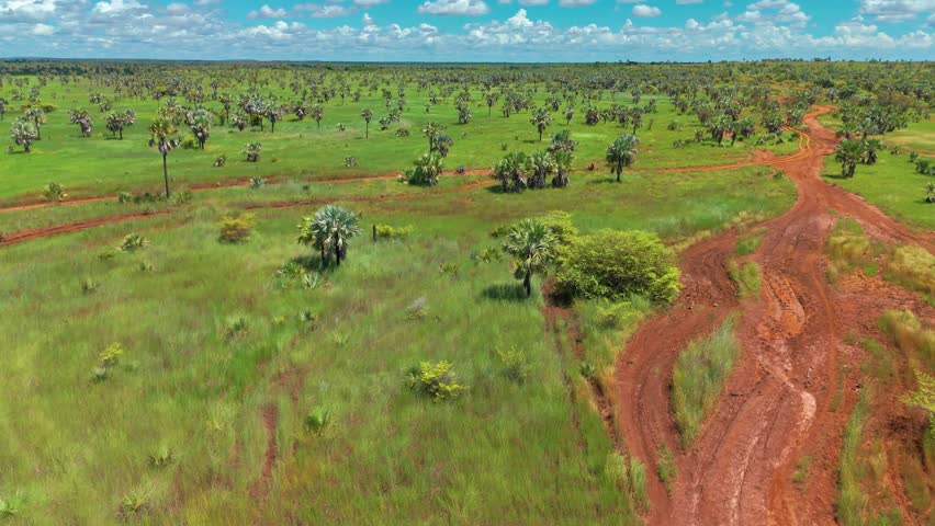 Tracking drone footage capturing an off-road quad bike navigating a dusty dirt road in Madagascar, set against a backdrop of rugged rural beauty.