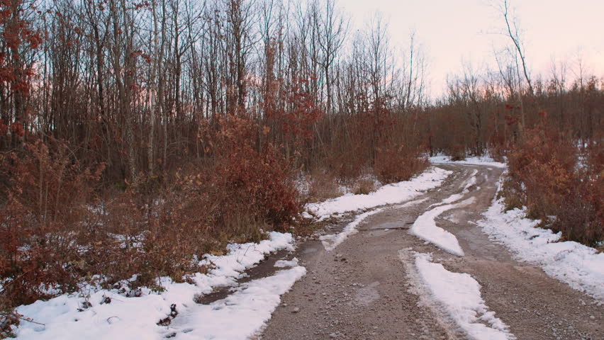 Pathway in the middle of the snowy forest in the mountains