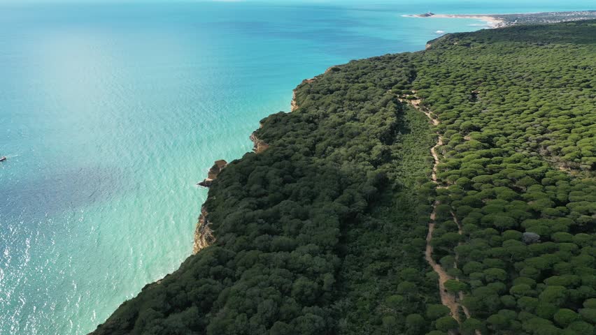 A coastal cliff with layers of sedimentary rock rises above the turquoise sea. A ancient white tower sits atop, surrounded by Italian stone pine forest. The sky is blue with scattered clouds