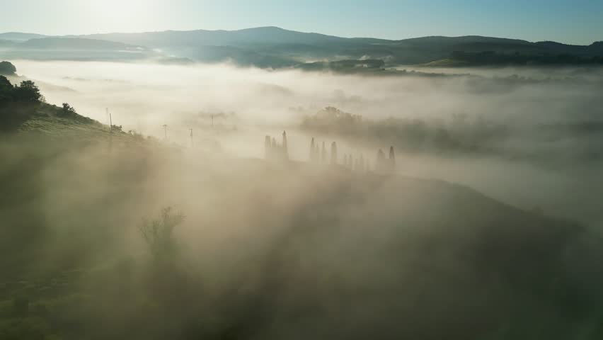 Drone footage of a Tuscan road lined with cypress trees casting long, dramatic shadows through the soft morning fog, illuminated by warm sunrise light.
