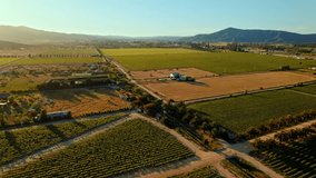 Aerial view establishing in the valley of Casablanca, famous for its white wine. Vineyard between a valley at sunset, sun in the background, Chile. - Powered by Shutterstock - Get 15% off with code: PIKWIZARD15