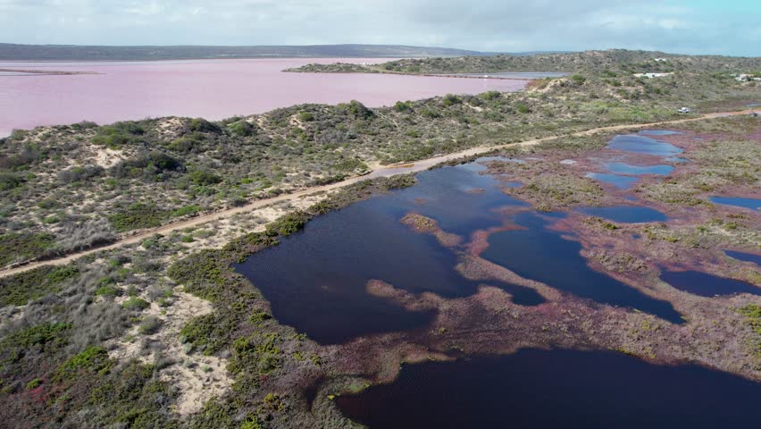 Aerial view of hutt lagoon pink lake surrounded by bushland and coastline, Yallabatharra, Australia.