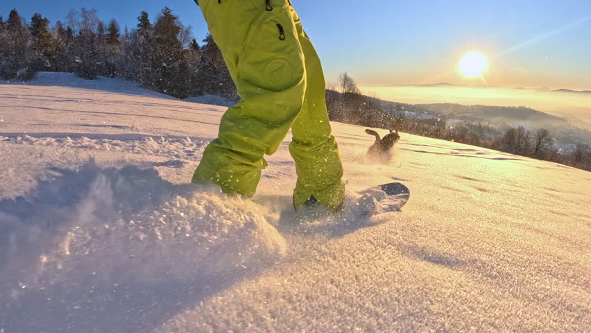 Shutterstock Video