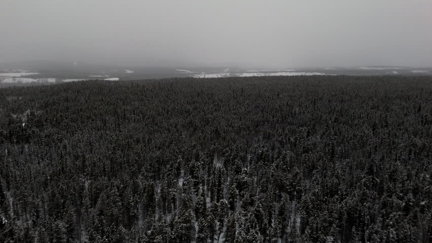 Endless Forests Near Whitehorse City During Winter In Yukon Territory, Canada. Aerial Drone Shot