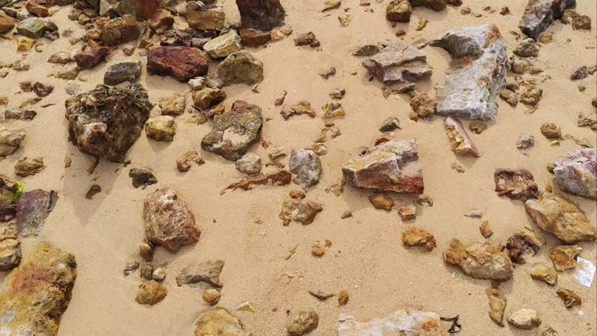 Surface and structure of limestone and eroded coral reefs. Cavities and holes with rough texture caused by erosion biological activities. Stone or rock or granite porphyry.