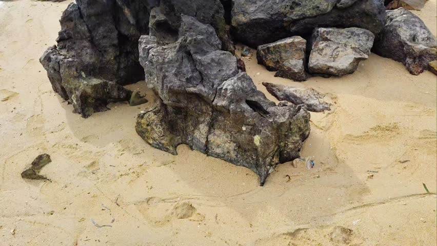 Surface and structure of limestone and eroded coral reefs. Cavities and holes with rough texture caused by erosion biological activities. Stone or rock or granite porphyry.