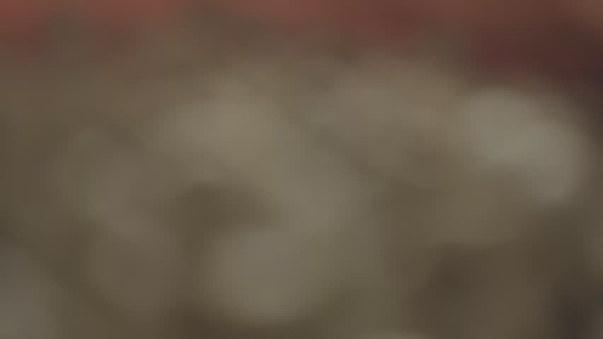 The coffee is being sun dried at different stages. The dried beans will then be graded to determine their purity. Belalcázar, Caldas. Colombia