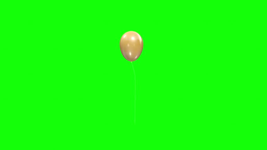 Shutterstock Video