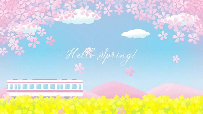 Animated spring vector background with a train with falling cherry blossoms and canola flowers