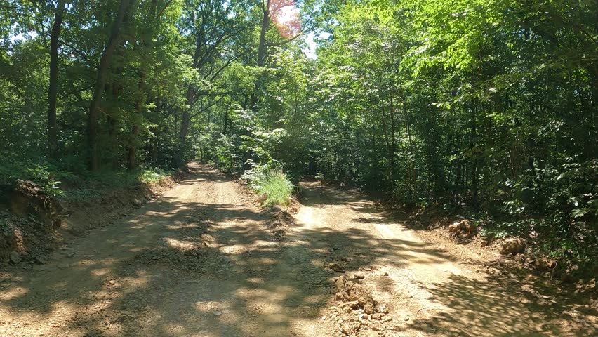 Trails and track of a 4x4 safari.  Frontal point of view in summer tree forest meadow.