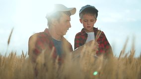 Father and child in wheat field. Dad teaching son with tablet. Family in wheat field exploring technology. Farmer father showing wheat details to child. Modern farming technology in wheat field. - Powered by Shutterstock - Get 15% off with code: PIKWIZARD15