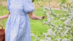 girl walking in park with basket and easter products inside.woman playing with bunny rabbit. female with white ribbon in hair and blue dress.blossom tree in background,green grass. spring is coming. - Powered by Shutterstock - Get 15% off with code: PIKWIZARD15