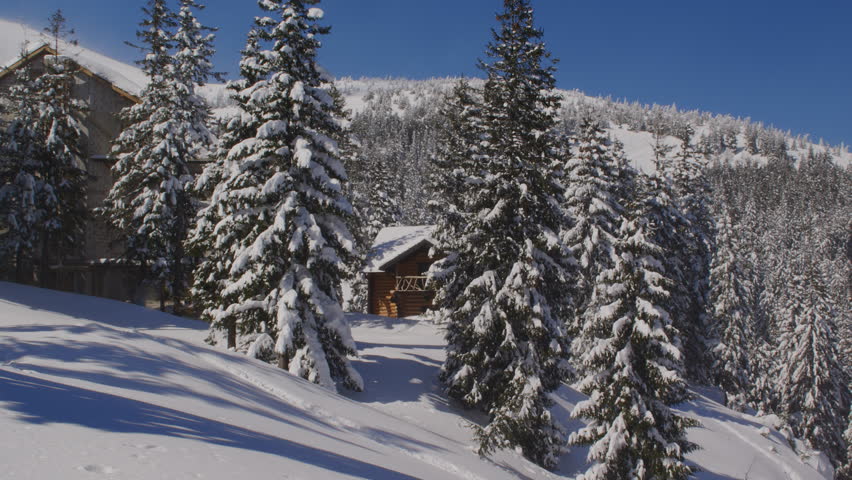 Snow-covered wooden cabin in winter forest
