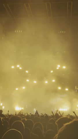Happy crowd in a concert hall. Silhouettes of raised hands. Vertical footage.