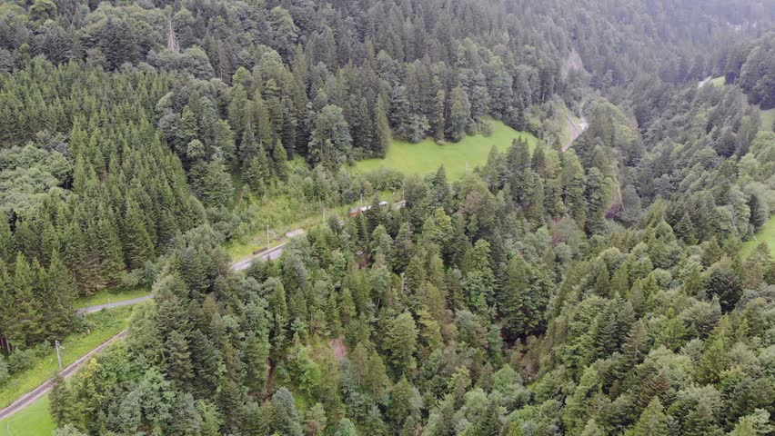 Swiss mountain railway train and rails in lush coniferous forest pristine scenery