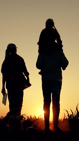 Farmers father mother little daughter play, enjoy nature in sunny field. Family of farmers with child girl on shoulders walks through field of sprouts. Mom dad kid walk together. Kid play with parents