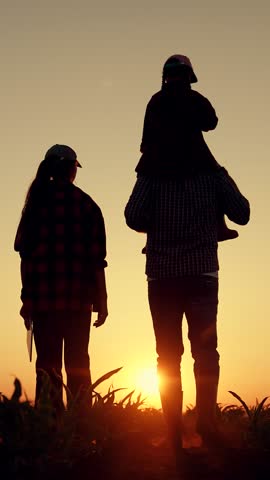 Farmers father mother little daughter play, enjoy nature in sunny field. Family of farmers with child girl on shoulders walks through field of sprouts. Mom dad kid walk together. Kid play with parents