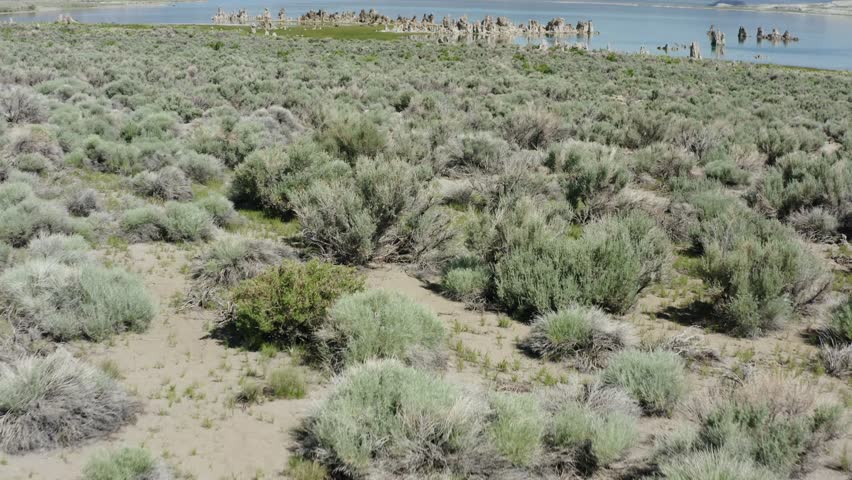 Flight over the slope of Mono Lake in a preserved area with tufa pinnacles, California.