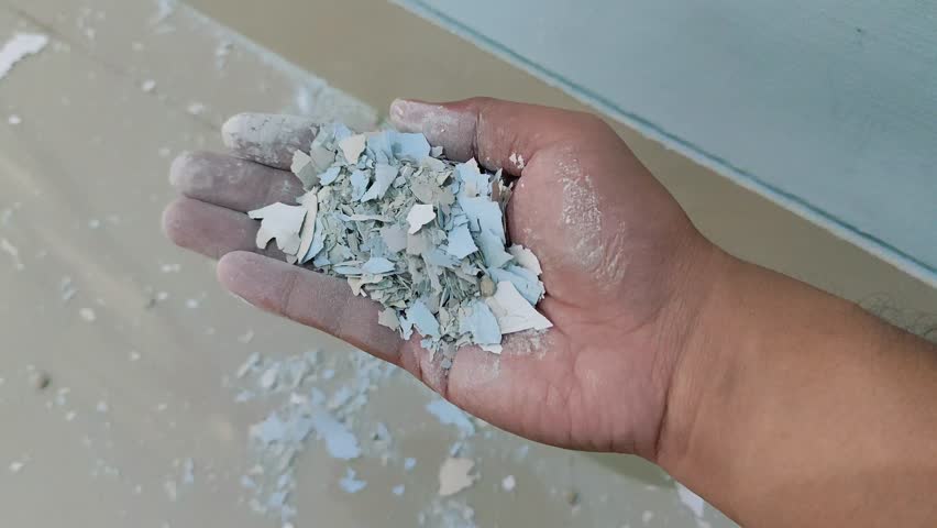 4K video of a hand gripping peeled-off wall paint flakes during a home renovation, showing brittle texture, chipped layers, and surface deterioration before repainting and restoration work
 - Powered by Shutterstock - Get 15% off with code: PIKWIZARD15