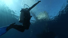 scuba divers on the surface of water with sky view - Powered by Shutterstock - Get 15% off with code: PIKWIZARD15