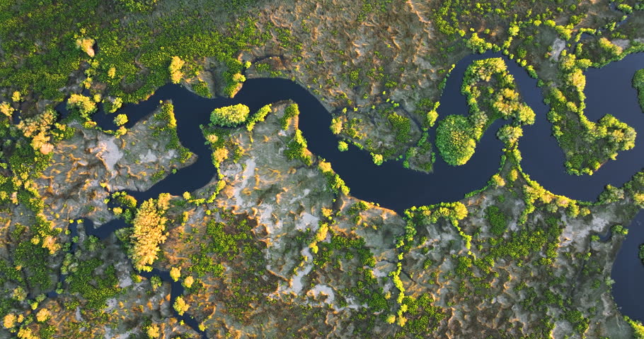 Wetlands wild tropical nature at sunset. Florida ecosystem landscape