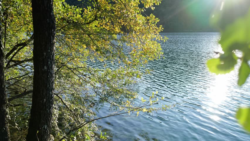 A peaceful lake reflecting the summer sky. A misty waterfall creating a tranquil atmosphere. A tranquil lake surrounded by mountains in Croatia. A peaceful summer view of Plitvice Lakes. - Powered by Shutterstock - Get 15% off with code: PIKWIZARD15