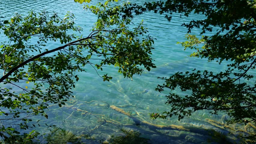 Summer day by a tranquil lake. Summer view of a lake. Summer nature. A tranquil lake surrounded by mountains in Croatia. A peaceful summer view of Plitvice Lakes.