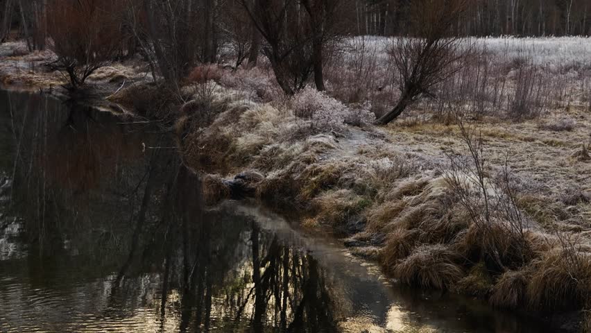 upper Yosemite falls among winter foliage panning up from a creek TILT UP